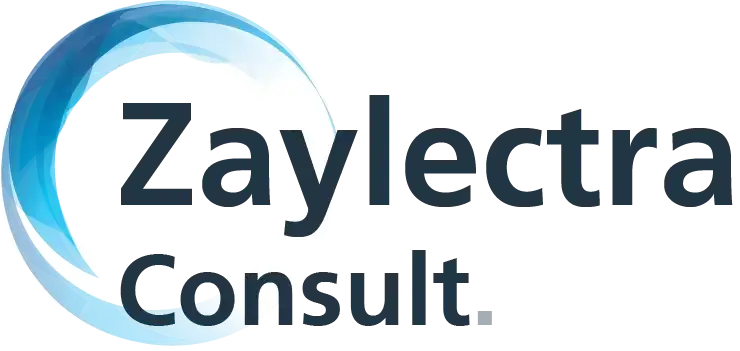 zaylectraconsult.com